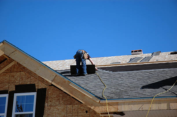 Best Local Roofing Companies  in Marysville, MI